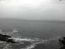./images/koeye/fitz-hugh/20141106/fitz-hugh20141106_081502.jpg