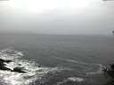./images/koeye/fitz-hugh/20141106/fitz-hugh20141106_082003.jpg