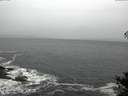 ./images/koeye/fitz-hugh/20141106/fitz-hugh20141106_084502.jpg