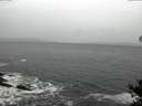 ./images/koeye/fitz-hugh/20141106/fitz-hugh20141106_085003.jpg
