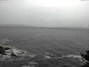 ./images/koeye/fitz-hugh/20141106/fitz-hugh20141106_085503.jpg