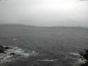 ./images/koeye/fitz-hugh/20141106/fitz-hugh20141106_090503.jpg