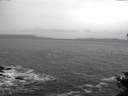 ./images/koeye/fitz-hugh/20141106/fitz-hugh20141106_091002.jpg