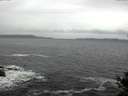 ./images/koeye/fitz-hugh/20141106/fitz-hugh20141106_092002.jpg