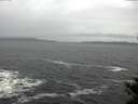 ./images/koeye/fitz-hugh/20141106/fitz-hugh20141106_093501.jpg