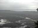 ./images/koeye/fitz-hugh/20141106/fitz-hugh20141106_094001.jpg