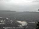 ./images/koeye/fitz-hugh/20141106/fitz-hugh20141106_095002.jpg