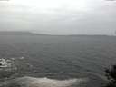 ./images/koeye/fitz-hugh/20141106/fitz-hugh20141106_101002.jpg