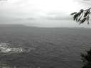 ./images/koeye/fitz-hugh/20141106/fitz-hugh20141106_102501.jpg