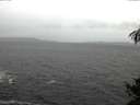 ./images/koeye/fitz-hugh/20141106/fitz-hugh20141106_103502.jpg