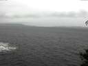 ./images/koeye/fitz-hugh/20141106/fitz-hugh20141106_104503.jpg