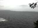 ./images/koeye/fitz-hugh/20141106/fitz-hugh20141106_105002.jpg