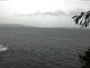 ./images/koeye/fitz-hugh/20141106/fitz-hugh20141106_105503.jpg