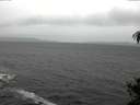 ./images/koeye/fitz-hugh/20141106/fitz-hugh20141106_111003.jpg