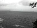 ./images/koeye/fitz-hugh/20141106/fitz-hugh20141106_111502.jpg