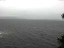 ./images/koeye/fitz-hugh/20141106/fitz-hugh20141106_113502.jpg