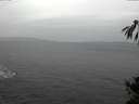 ./images/koeye/fitz-hugh/20141106/fitz-hugh20141106_125503.jpg