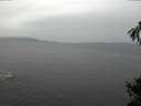 ./images/koeye/fitz-hugh/20141106/fitz-hugh20141106_131503.jpg