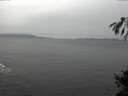 ./images/koeye/fitz-hugh/20141106/fitz-hugh20141106_132003.jpg