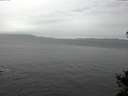 ./images/koeye/fitz-hugh/20141106/fitz-hugh20141106_133503.jpg