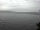 ./images/koeye/fitz-hugh/20141106/fitz-hugh20141106_134002.jpg