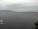 ./images/koeye/fitz-hugh/20141106/fitz-hugh20141106_135503.jpg