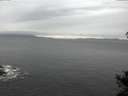 ./images/koeye/fitz-hugh/20141106/fitz-hugh20141106_140003.jpg