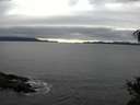 ./images/koeye/fitz-hugh/20141106/fitz-hugh20141106_152002.jpg