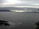 ./images/koeye/fitz-hugh/20141106/fitz-hugh20141106_152503.jpg