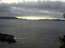 ./images/koeye/fitz-hugh/20141106/fitz-hugh20141106_154002.jpg