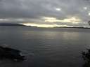 ./images/koeye/fitz-hugh/20141106/fitz-hugh20141106_155502.jpg