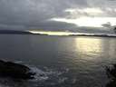 ./images/koeye/fitz-hugh/20141106/fitz-hugh20141106_161002.jpg