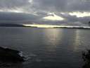 ./images/koeye/fitz-hugh/20141106/fitz-hugh20141106_161502.jpg