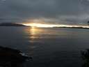 ./images/koeye/fitz-hugh/20141106/fitz-hugh20141106_164002.jpg