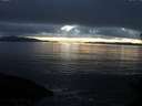 ./images/koeye/fitz-hugh/20141106/fitz-hugh20141106_172502.jpg