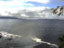./images/koeye/fitz-hugh/20141109/fitz-hugh20141109_115511.jpg