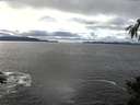 ./images/koeye/fitz-hugh/20141109/fitz-hugh20141109_122503.jpg