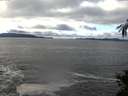 ./images/koeye/fitz-hugh/20141109/fitz-hugh20141109_124003.jpg