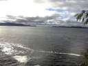 ./images/koeye/fitz-hugh/20141109/fitz-hugh20141109_130003.jpg