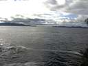 ./images/koeye/fitz-hugh/20141109/fitz-hugh20141109_130502.jpg