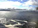 ./images/koeye/fitz-hugh/20141109/fitz-hugh20141109_132001.jpg
