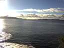 ./images/koeye/fitz-hugh/20141109/fitz-hugh20141109_145003.jpg