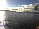 ./images/koeye/fitz-hugh/20141109/fitz-hugh20141109_150503.jpg