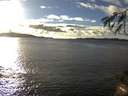 ./images/koeye/fitz-hugh/20141109/fitz-hugh20141109_151502.jpg