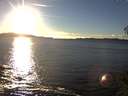 ./images/koeye/fitz-hugh/20141109/fitz-hugh20141109_155002.jpg