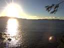 ./images/koeye/fitz-hugh/20141109/fitz-hugh20141109_155501.jpg