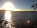 ./images/koeye/fitz-hugh/20141109/fitz-hugh20141109_160002.jpg