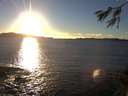 ./images/koeye/fitz-hugh/20141109/fitz-hugh20141109_160501.jpg