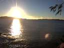 ./images/koeye/fitz-hugh/20141109/fitz-hugh20141109_161001.jpg
