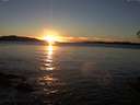 ./images/koeye/fitz-hugh/20141109/fitz-hugh20141109_164003.jpg